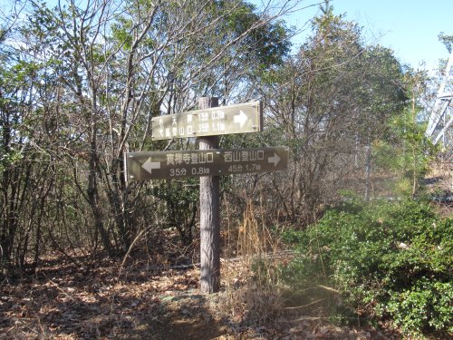 登山道